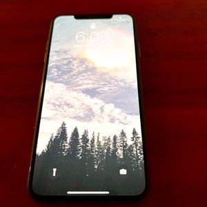 iPhone XS Pro 256g Rose Gold (unlocked)